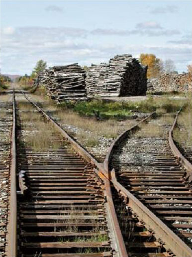railroad tracks with view of logs